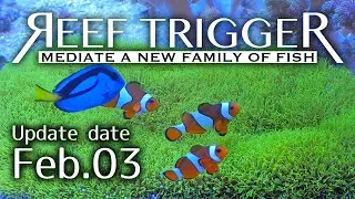 石垣産スターポリプ 高発色メタリックグリーンREEF-TRIGGER