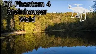 Dji Phantom 4 Steinhauser Wald Switzerland