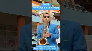 【独学】サックス買って8ヶ月の成果！Paradise Has NO BORDER/東京スカパラダイスオーケストラ #東京スカパラダイスオーケストラ #saxophone