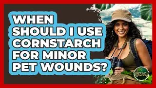 When Should I Use Cornstarch For Minor Pet Wounds?