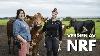 Verdien av NRF - Hobberstad gård på Jæren