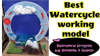Watercycle working model #watercycle #watercycleinnature #tlmideas #tlm #watecyclemodel #water #diy 