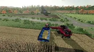 FS22 Mega Grain Harvesting #fs22 #farming #games