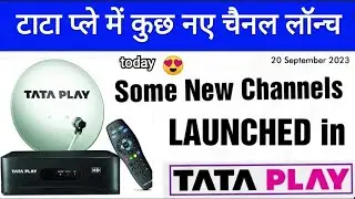 TATA PLAY LAUNCHED Some New Channels On it's Platform Today 20 September 2023