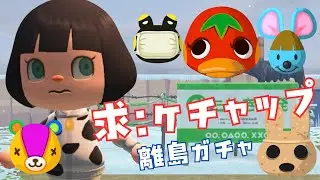 突発離島ツアー【あつまれどうぶつの森】