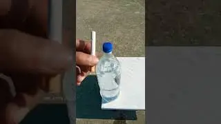 Awesome DIY science project 😀 our lungs after smoking a single cigarette | #shorts