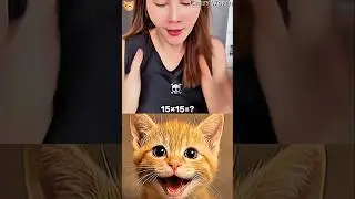 Husband & Wife&rsquo;s Funny Bathroom Moment💀#funny #cat #dance #shorts