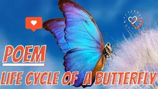 Poem#LifeCycleofaButterfly#Class4#EnglishLiterature#Creative#OxfordEnglish