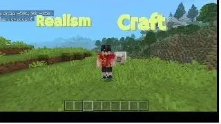 Realism Craft (Minecraft)