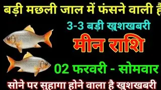 मीन राशि 16 जनवरी 2026 बड़ी मछली जल में फंसने वाली है 3-3 बड़ी खुशखबरी बड़ी खुलासा/Meen Rashi