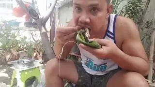 Primitive Cooking