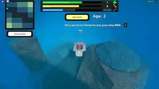 Roblox evolve custom event species: Reckless.