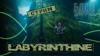 Играем в Labyrinthine БДСМ сквадом / Vikovka, HELL, M.D.Houston | Стрим