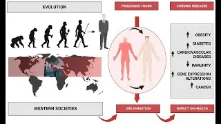 Influence of age, diet and diseases on the effectiveness of drugs