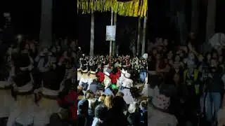 Festival Mimoze Herceg novi 2024❤️&zwj;🔥