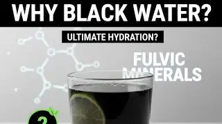Why Everyone is Drinking BLACK Water (What are Fulmic Minerals? MineralWater #HealthTrends 