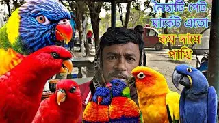 Naihati Pet Market Birds at such low prices | 🤯Hamaster. Sun Coonoor , Recent Birds Price Update￼...