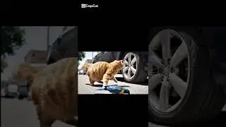 Cat Catches Bird in Its Mouth! 🐱🐦 #Cat #Bird #Veo3 #FunnyAnimals.        #قطة #مضحك #ذكاء_اصطناعي