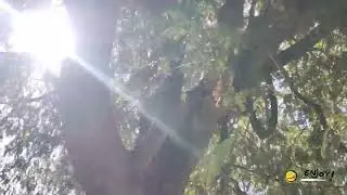 Ms dhoni farm house Toor 2026