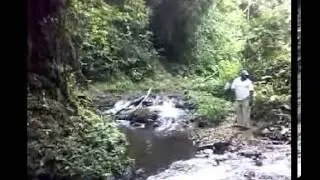 Cameroon: Towards a new park in West