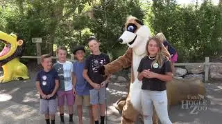 Hakuna Matata - Hogle Zoo