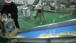 Fresh Cut French Fries Processing Line