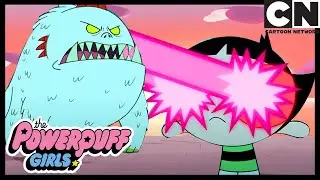 THE POWERPUFF GIRLS VS CHICHILLASAURUS | Powerpuff Girls CLIP | Cartoon Network