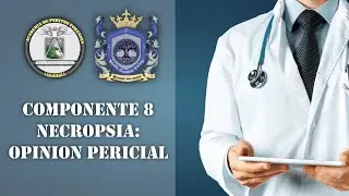 Componente 8 necropsia: Opinión pericial.