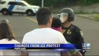 7 plead not guilty to charges stemming from Portland ICE protests