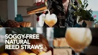 Reedest Cocktail Reed Drinking Straws