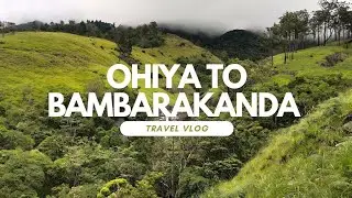 Ohiya to Bambarakanda Trekking Nature Walk | ඇවිදිමු ඔහිය සිට බඹරකන්දට #travel #srilanka