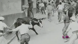 ENCIERRO CU&Eacute;LLAR A&Ntilde;OS 50