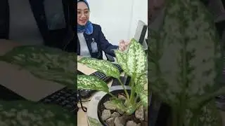 Kartu Debit BTN Visa Contactless #btn #promo #contactless #kopi #sepatan #tangerang