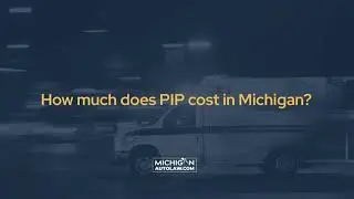 How much does PIP cost in Michigan?