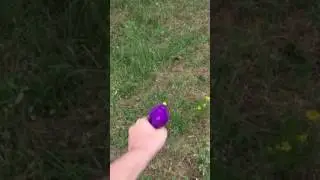 Confetti gun
