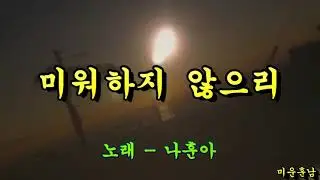 미워하지 않으리  -  나훈아