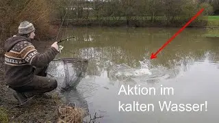 Ein verrückter Winter-ANGEL-Tag mit DICKEN Überraschungen!