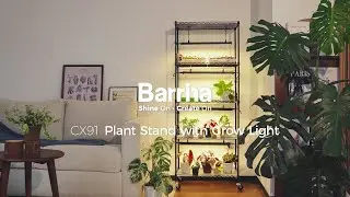 Barrina CX91 Plant Stand with 4-Pack 25W TX Series Grow Lights | Full Spectrum & Timer