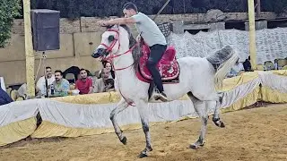 رقص خيل محمد خالد غزال اول مرة حفلة ناصر جلال الهرم 2024