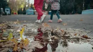 Осень 2022г. Камера Sony a7iv  PP8 - Slog3 S Gamut3.Cine