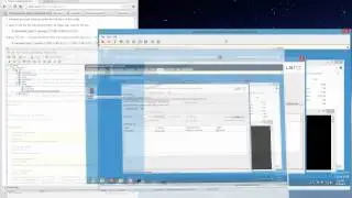 MegaRAID Storage Manager can work inside an ESXi 5.1 VM