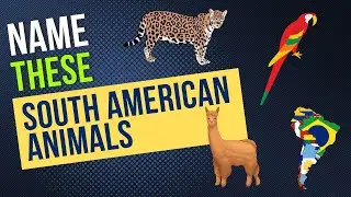 South American Animals Quiz