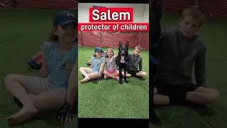 Protection Dog Keeping Children Safe