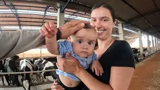 Família na fazenda, resfriamento na linha de cocho e mercado do leite!