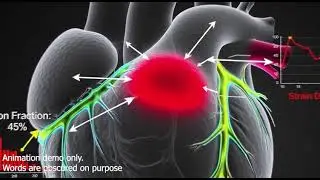 Corporate Animation Demo
