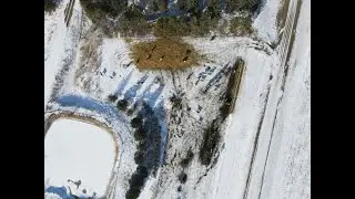 Stocking density and outwintering cattle