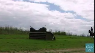 Bella Mowbray riding AERODYNAMIC 788 CNC 1 Star Sydney at SIEC Eventing ODE 2014 1