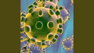 Corona Virus Instrumental