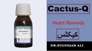 Cactus | Action | Doses | کیکٹس | Explained in Urdu/Hindi