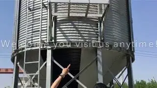 100t silo sample in Shelley Grain Silo Factory